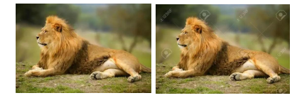 1544405832814410.png 5.png