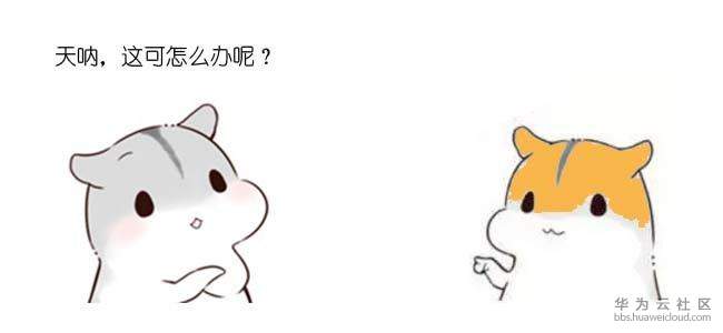 1572259785430218.jpg 13.jpg