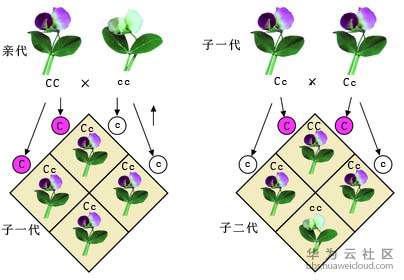 1533697716694826.png image.png