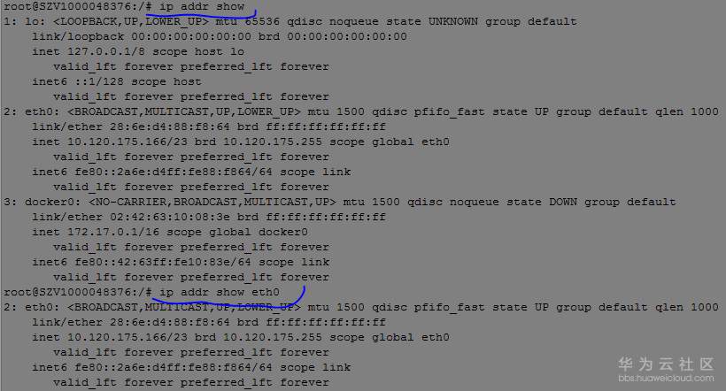 ip-addr-show.PNG