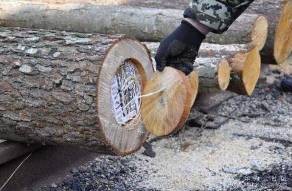 1547270120119408.jpg 23030982.jpg