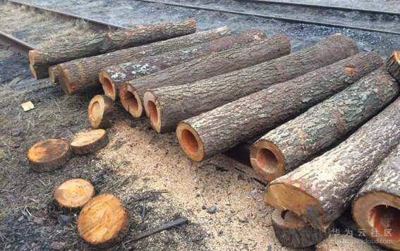 1547270109506360.jpg 23030980.jpg