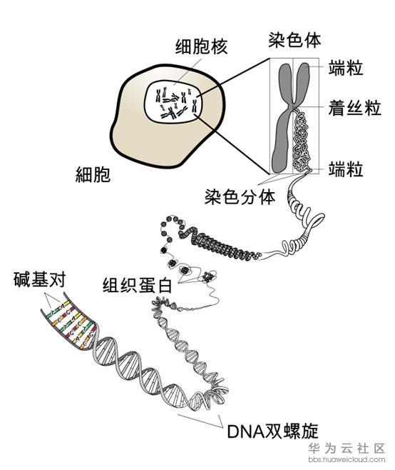 1533698315445125.png image.png