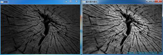 1570796599623907.jpg 1529655885435032628.jpg