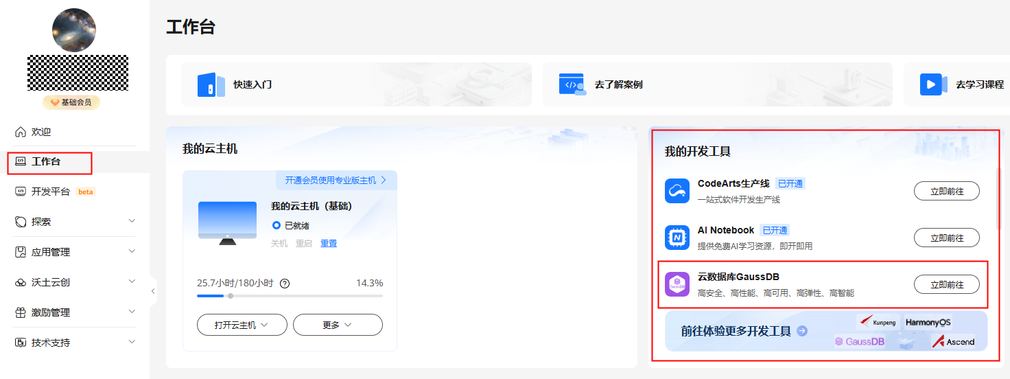 工作台-开发工具GaussDB.png