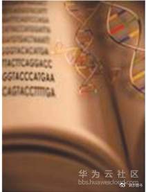 1570976916440845.jpg pic_006.jpg