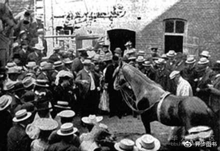 1570976932743037.jpg pic_007 (1).jpg