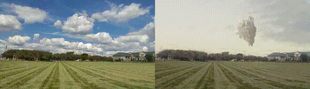 demo-cat 00_00_00-00_00_30.gif