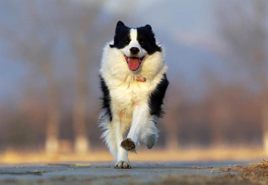test.jpg
