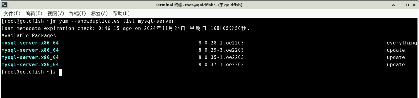 image-20241124165506425.png