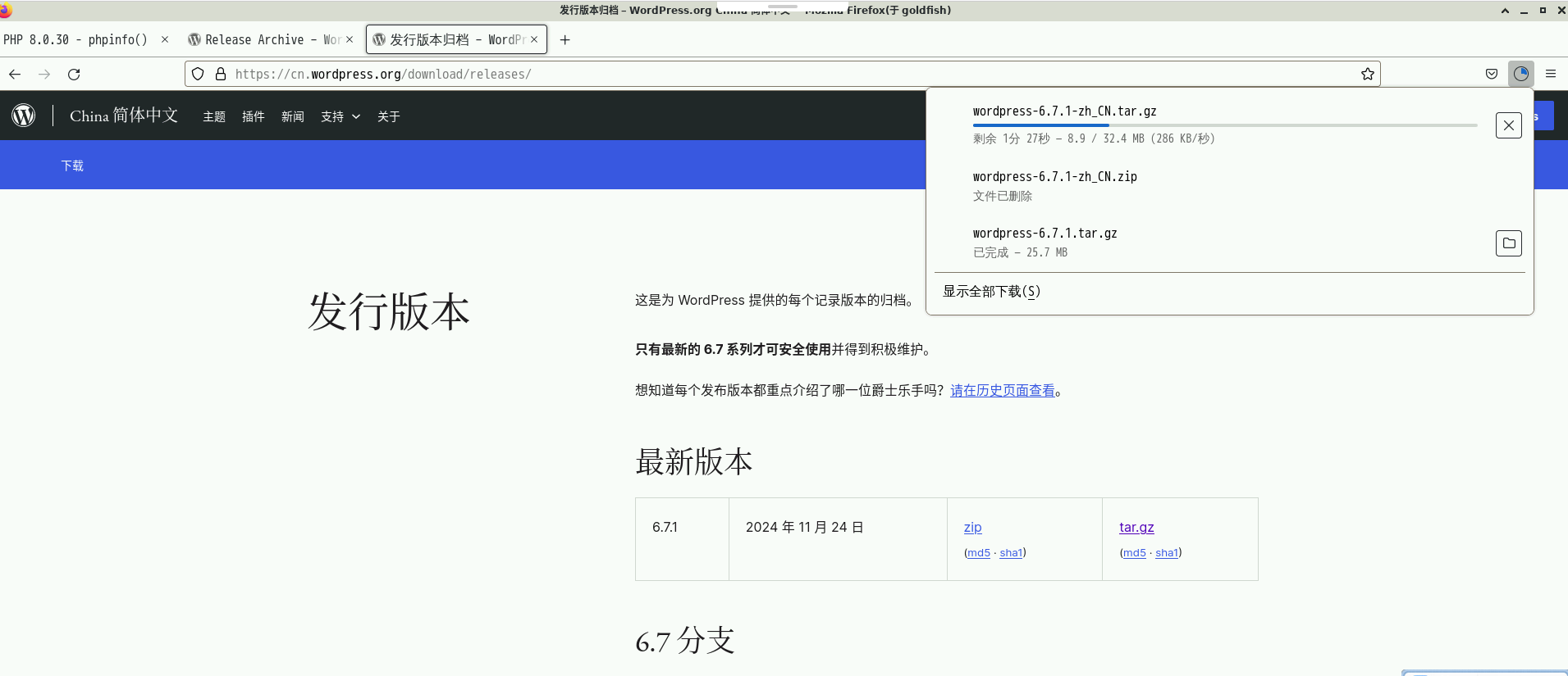 image-20241124193016666.png