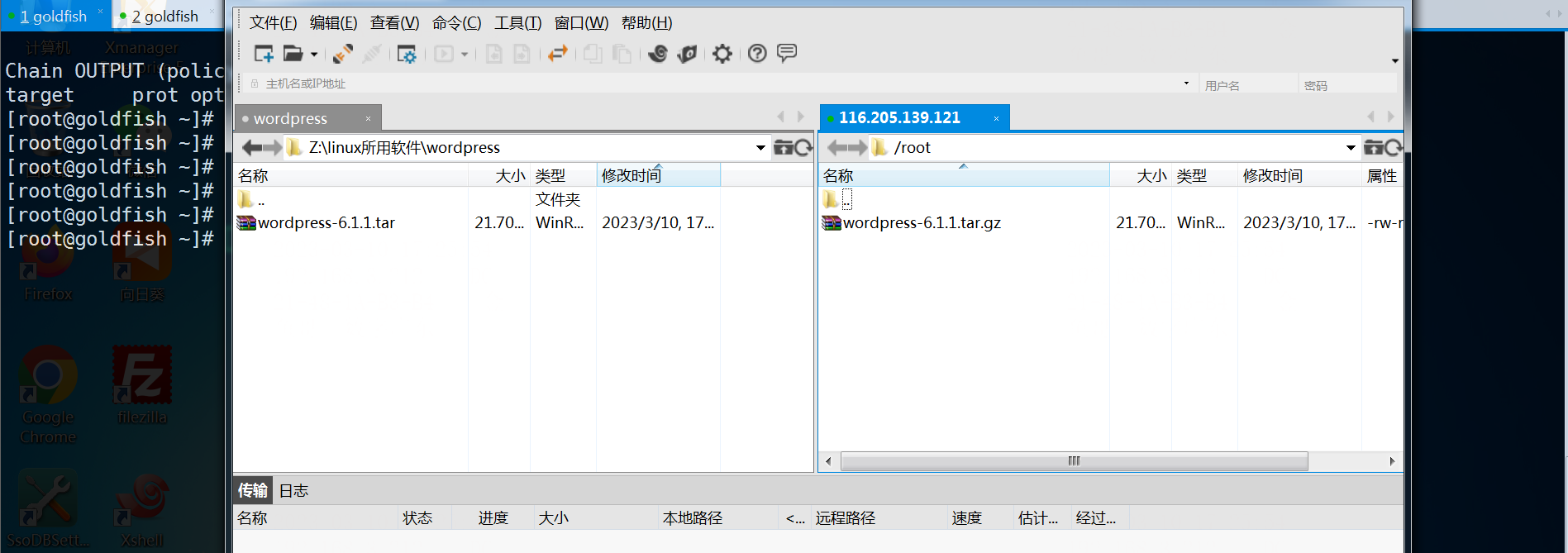 image-20230310172619004.png