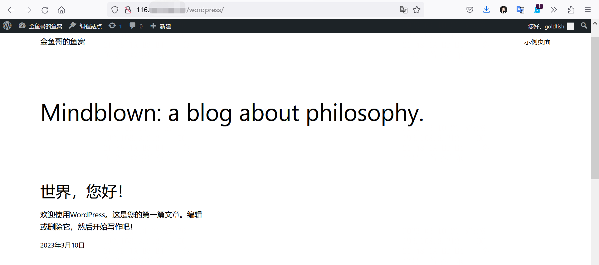 image-20230310215750523.png