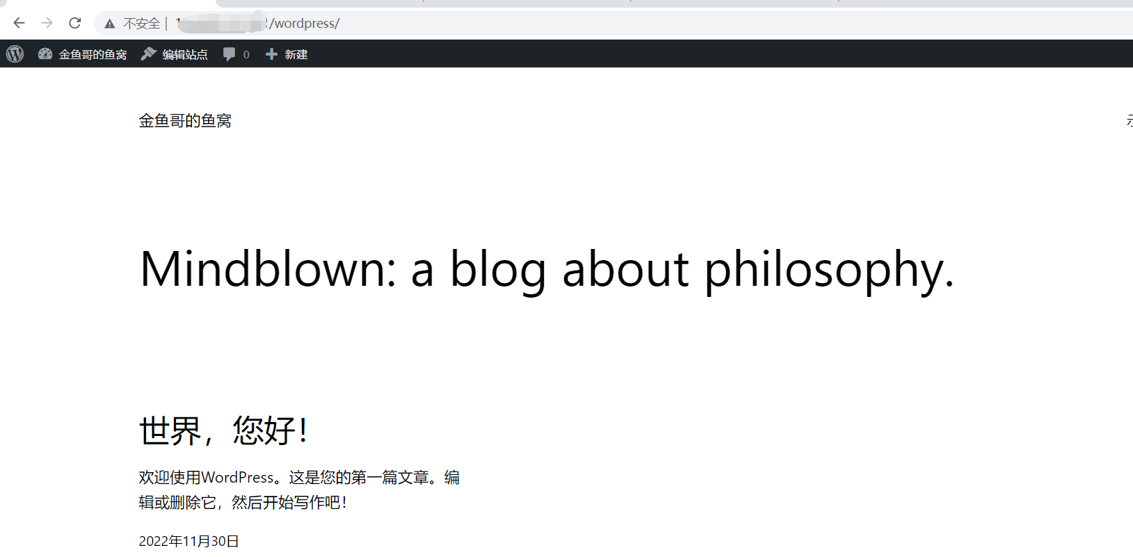 image-20221130225203342.png