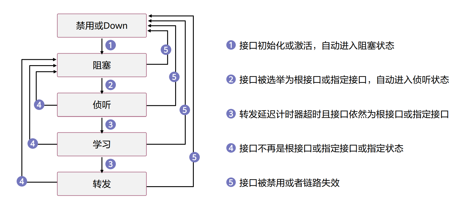 STP接口状态变化