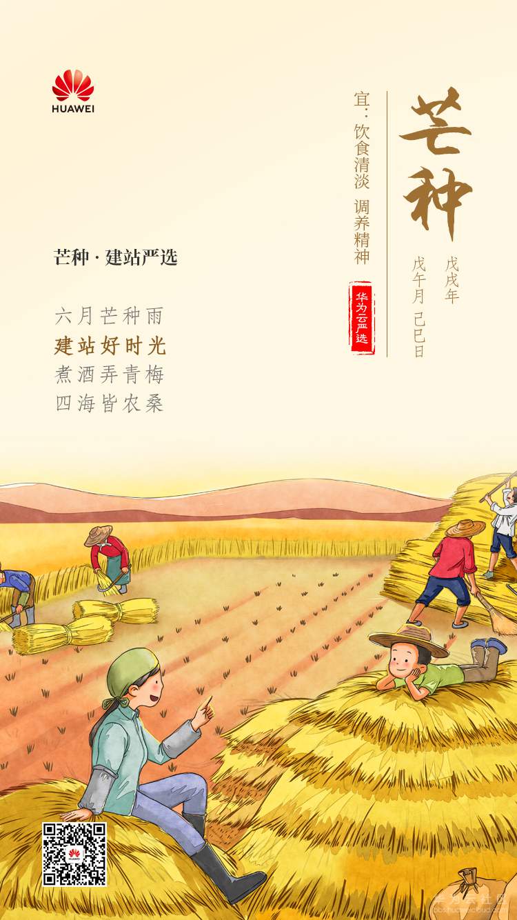 建站严选2.jpg