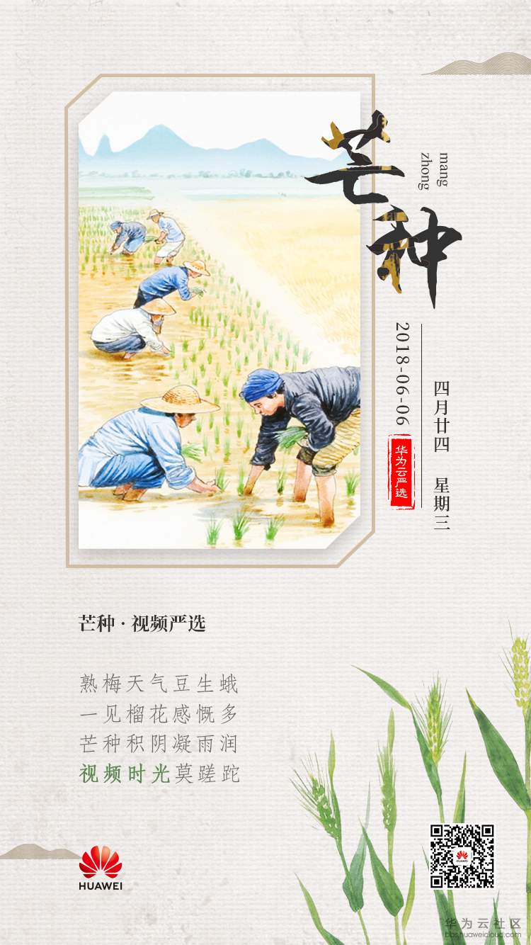 视频严选2.jpg