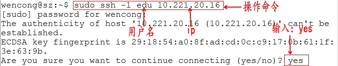 65.jpg