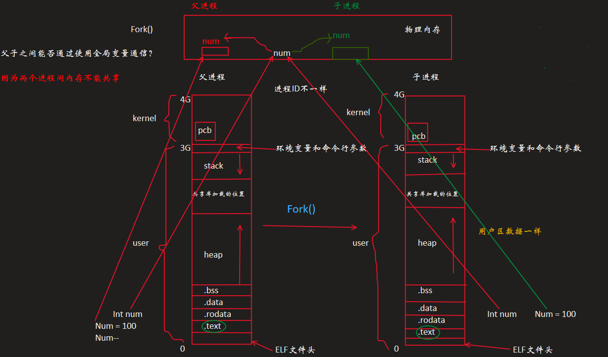 墨迹绘图
墨迹绘图
墨迹绘图
墨迹绘图
0
4G
0
4G
3G
3G
墨迹绘图
墨迹绘图
墨迹绘图
user
user
墨迹绘图
墨迹绘图
kernel
kernel
墨迹绘图
Fork()
父进程
子进程
墨迹绘图
墨迹绘图
ELF文件头
ELF文件头
墨迹绘图
墨迹绘图
墨迹绘图
墨迹绘图
.text
.rodata
.data
.bss
墨迹绘图
墨迹绘图
环境变量和命令行参数
墨迹绘图
墨迹绘图
墨迹绘图
stack
共享库加载的位置
heap
墨迹绘图
墨迹绘图
墨迹绘图
墨迹绘图
墨迹绘图
墨迹绘图
墨迹绘图
.text
.rodata
.data
.bss
墨迹绘图
墨迹绘图
墨迹绘图
环境变量和命令行参数
墨迹绘图
stack
共享库加载的位置
heap
墨迹绘图
墨迹绘图
墨迹绘图
墨迹绘图
pcb
pcb
用户区数据一样
Int num
Int num
Fork()
进程ID不一样
墨迹绘图
num
墨迹绘图
墨迹绘图
Num = 100
Num--
Num = 100
墨迹绘图
num
父进程
墨迹绘图
墨迹绘图
墨迹绘图
墨迹绘图
墨迹绘图
num
子进程
物理内存
墨迹绘图
墨迹绘图
墨迹绘图
父子之间能否通过使用全局变量通信？
因为两个进程间内存不能共享
墨迹绘图
墨迹绘图
墨迹绘图
墨迹绘图
墨迹绘图
墨迹绘图
