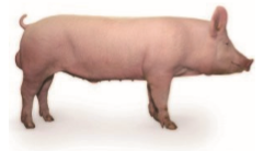 1560766975174727.png image.png