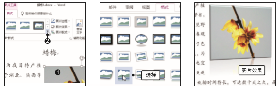 1581402528272255.png image.png