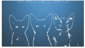 1582201426782387.png image.png