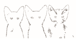 1582200606999744.png image.png
