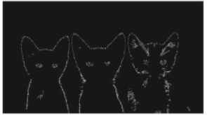 1582200596696085.png image.png