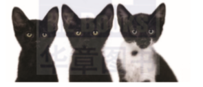 1582200586250821.png image.png