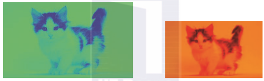 1582202265337508.png image.png