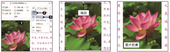 1581402730202044.png image.png