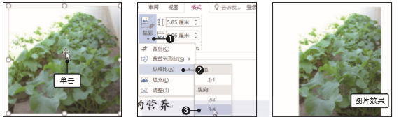 1581402758517110.png image.png