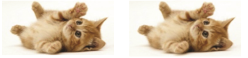 1582200309320916.png image.png