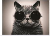 1582199533308595.png image.png