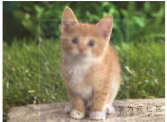 1582199935145894.png image.png