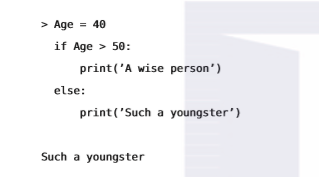 1581767105426881.png image.png