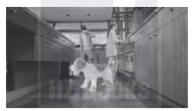 1560914781459541.png image.png