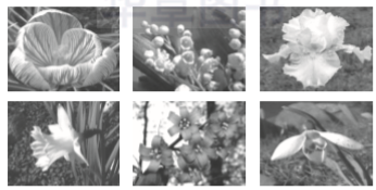 1559747959839008.png image.png