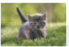 1582199269551928.png image.png