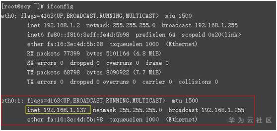 ifconfig.png