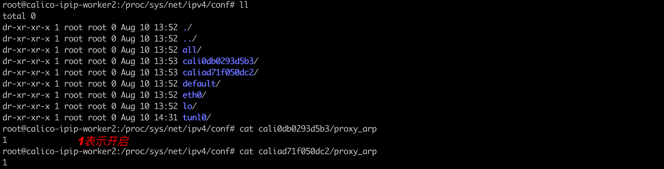 image-20230810223242118.png