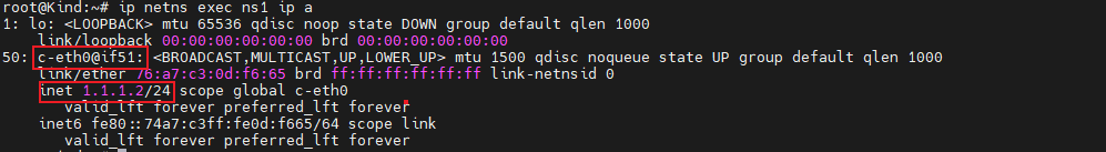 image-20230811001904586.png
