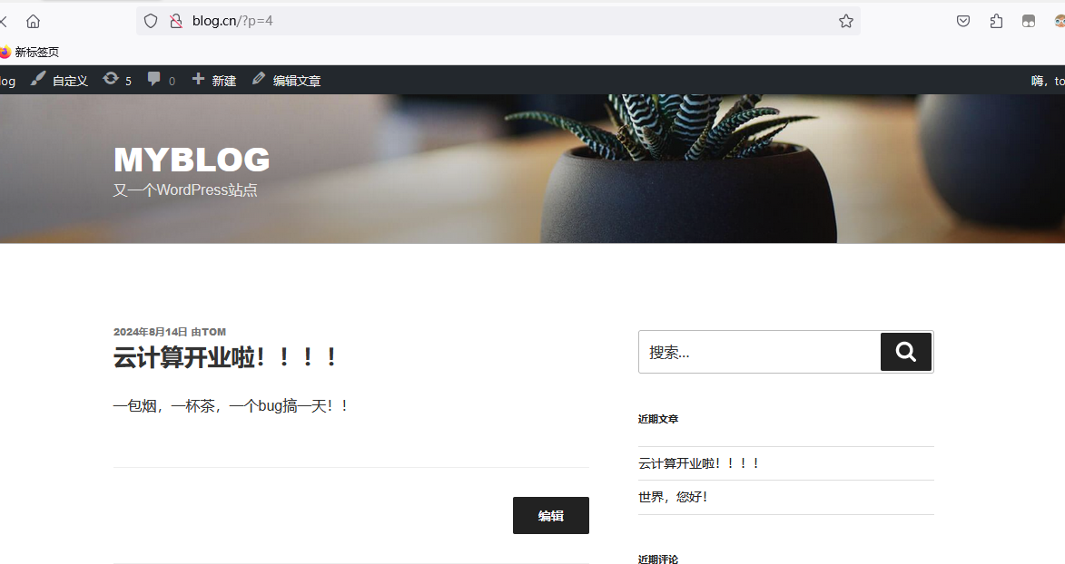 image-20240814232758443.png