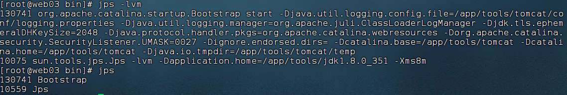 image-20240821003850716.png
