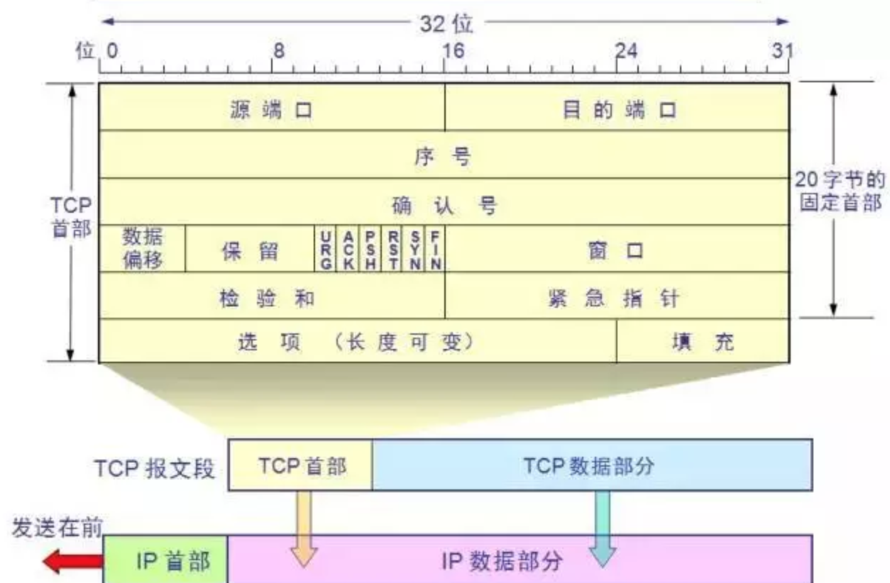 image-20200304004851192.png