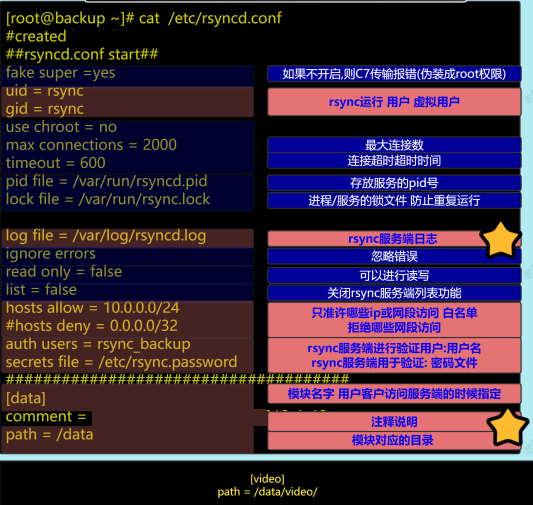 image-20240805130424569.png