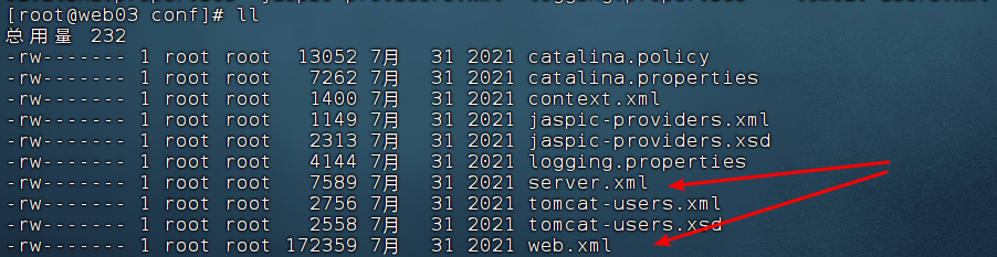image-20240820004731202.png