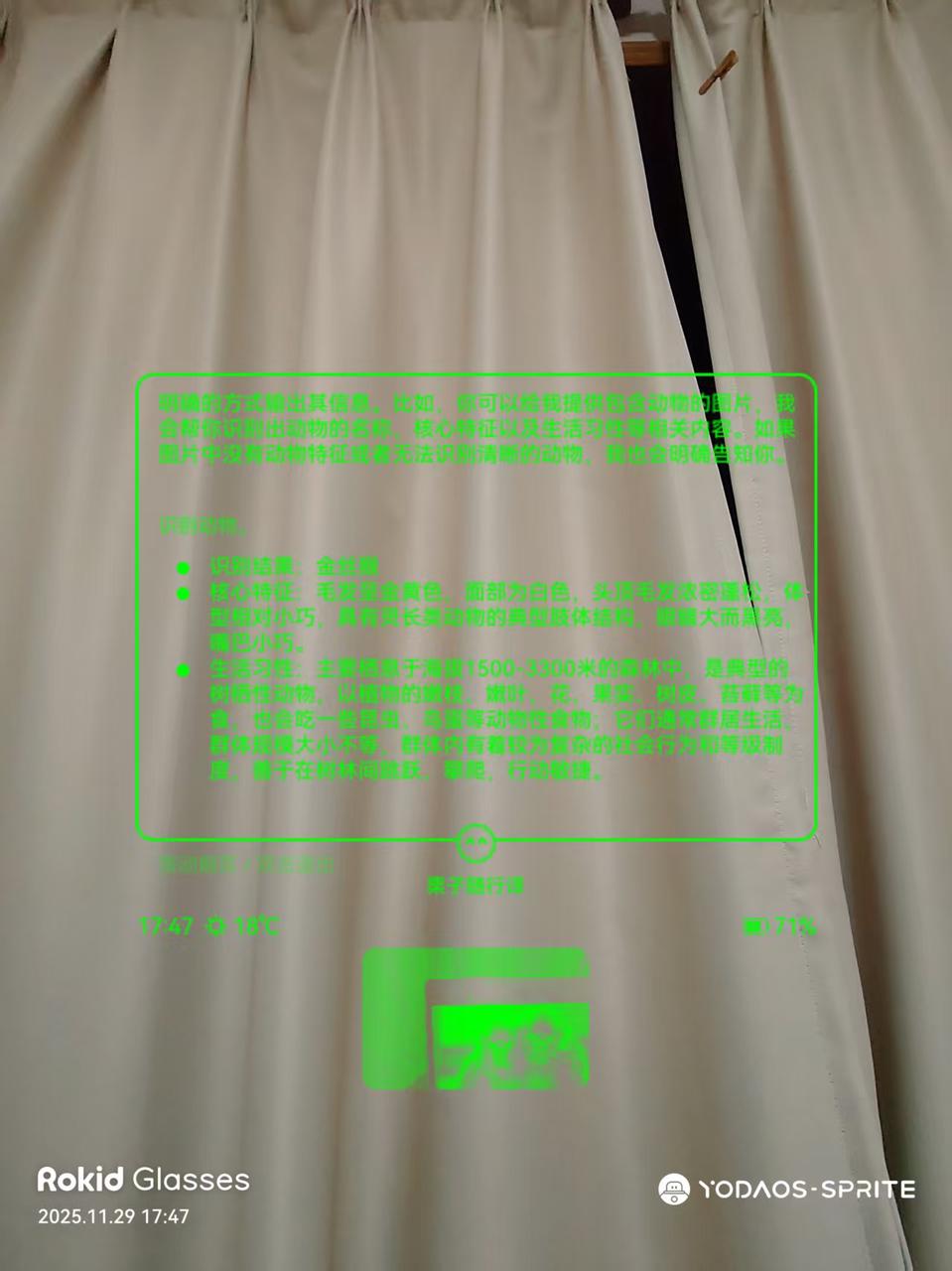 008.jpeg
