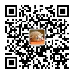 扫码关注「右耳朵猫AI」