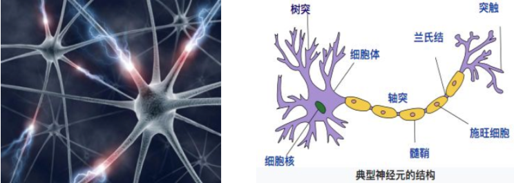 40d37b715ca1769776527ffd5841eb59.png